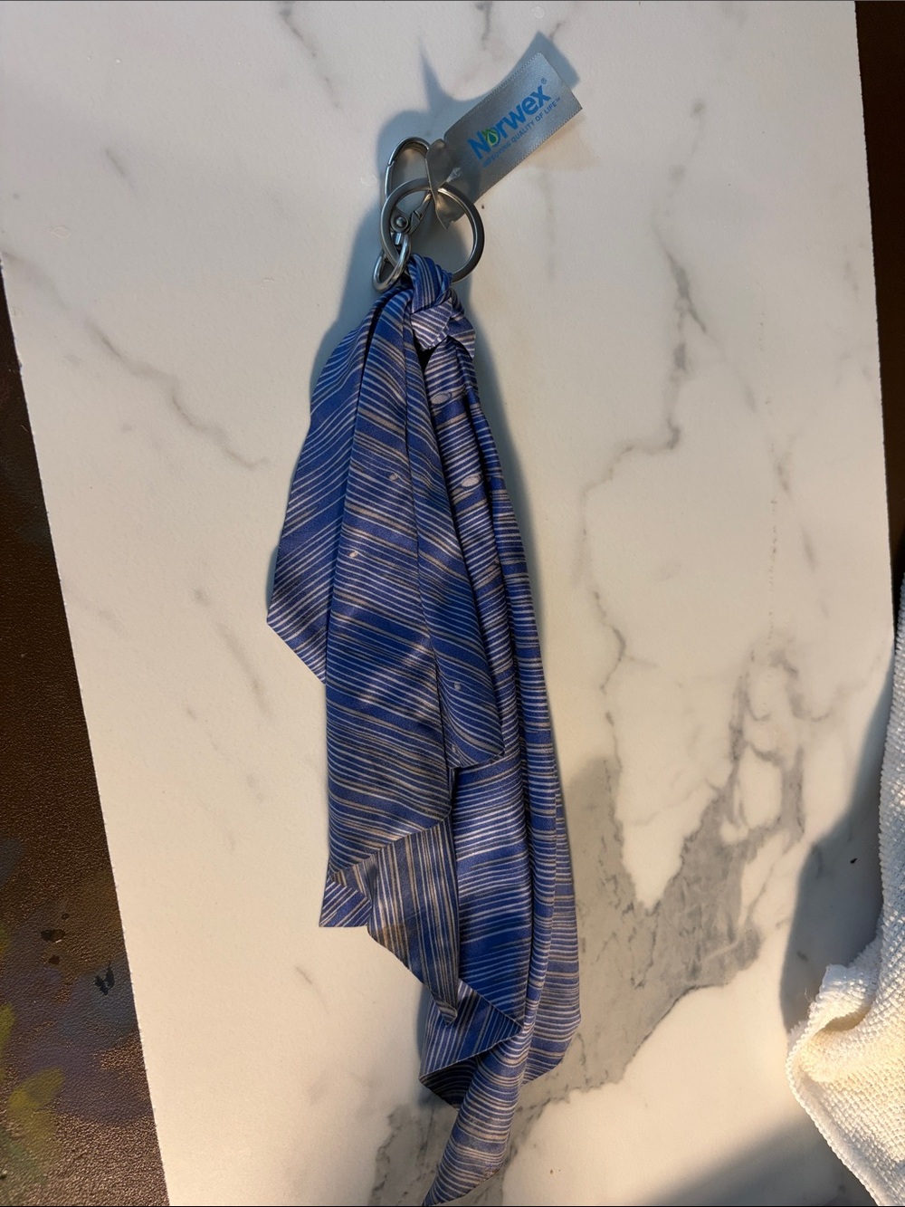 Norwex Blue Striped Hanging Cloth with Ring